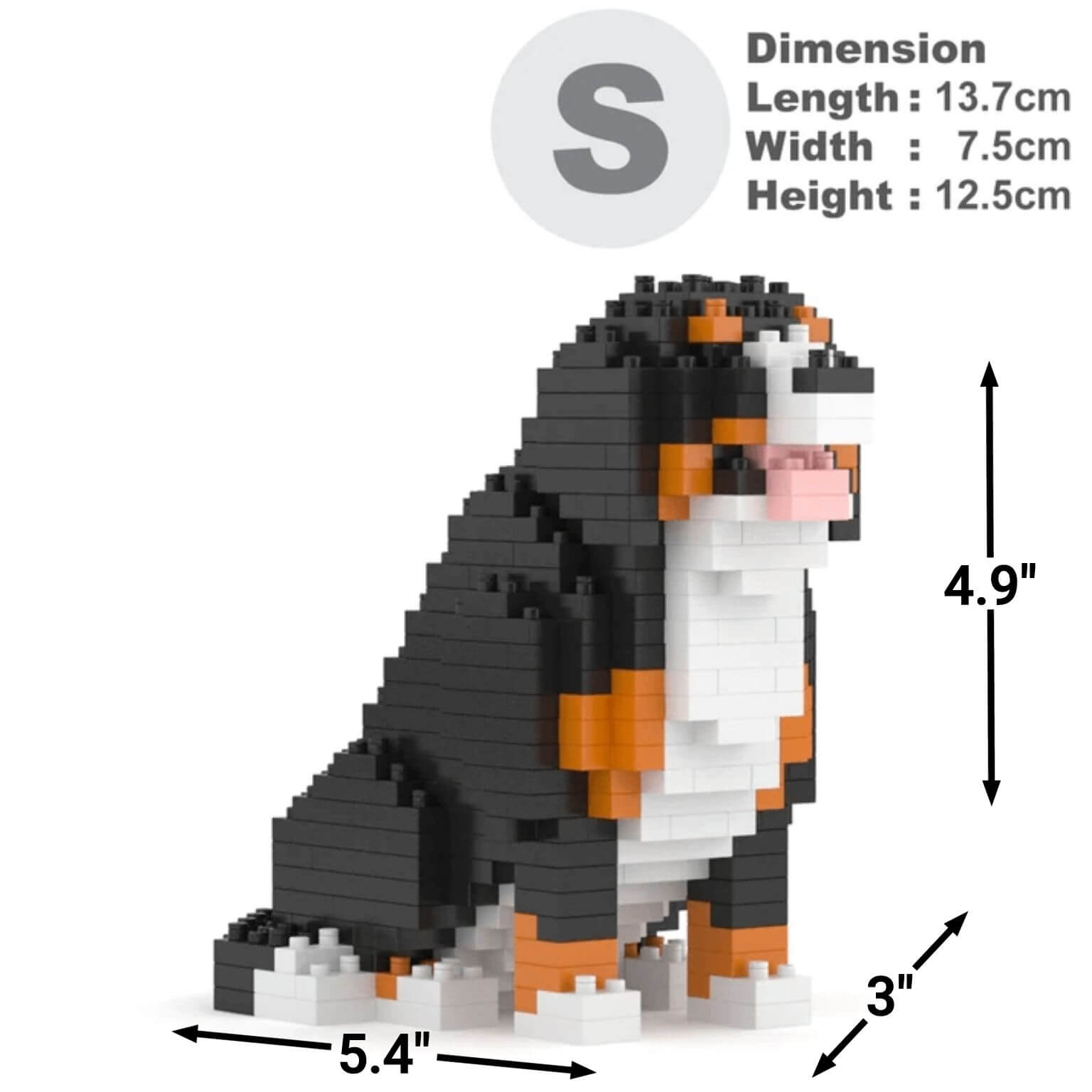 Berner Sennenhond Mini