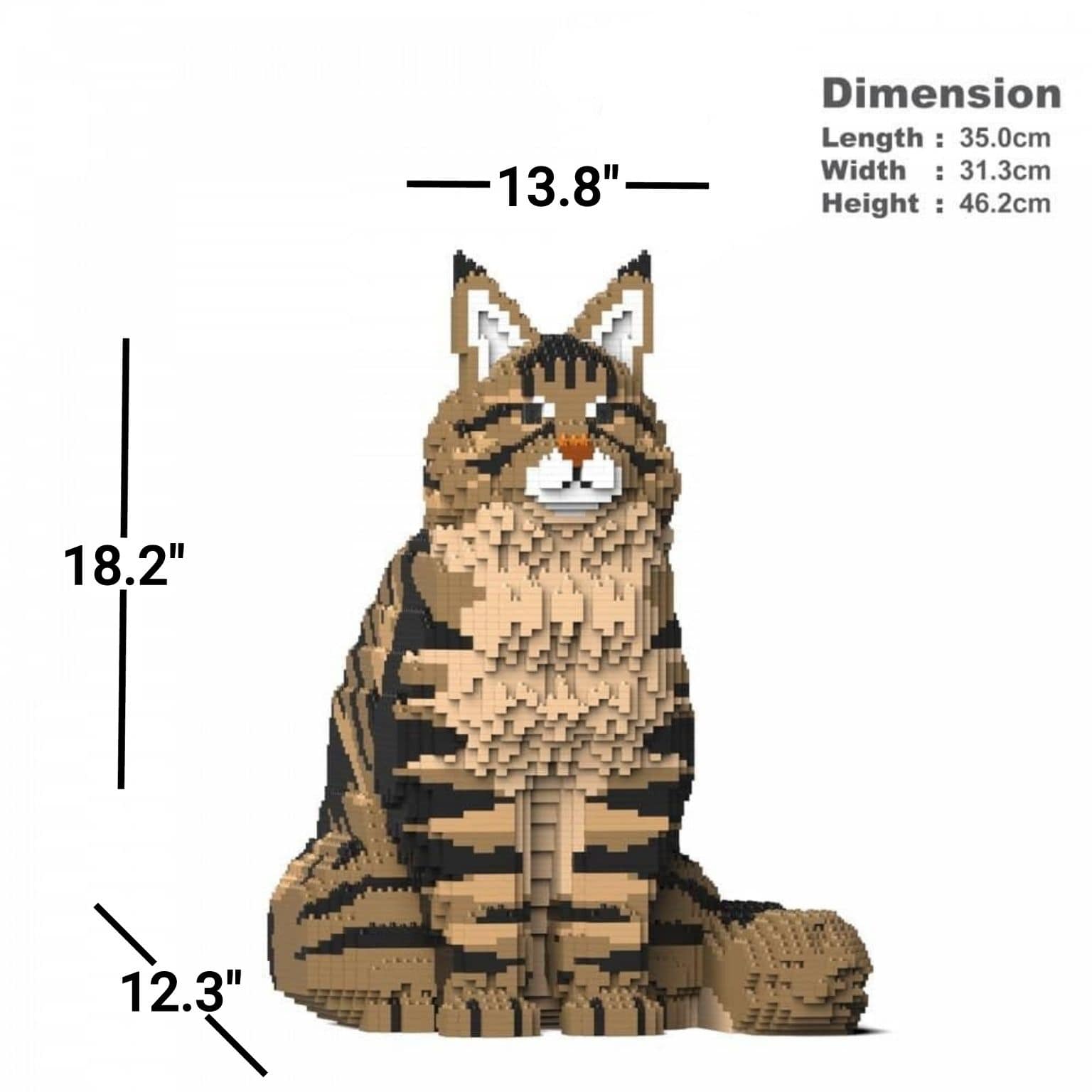 Main Coon