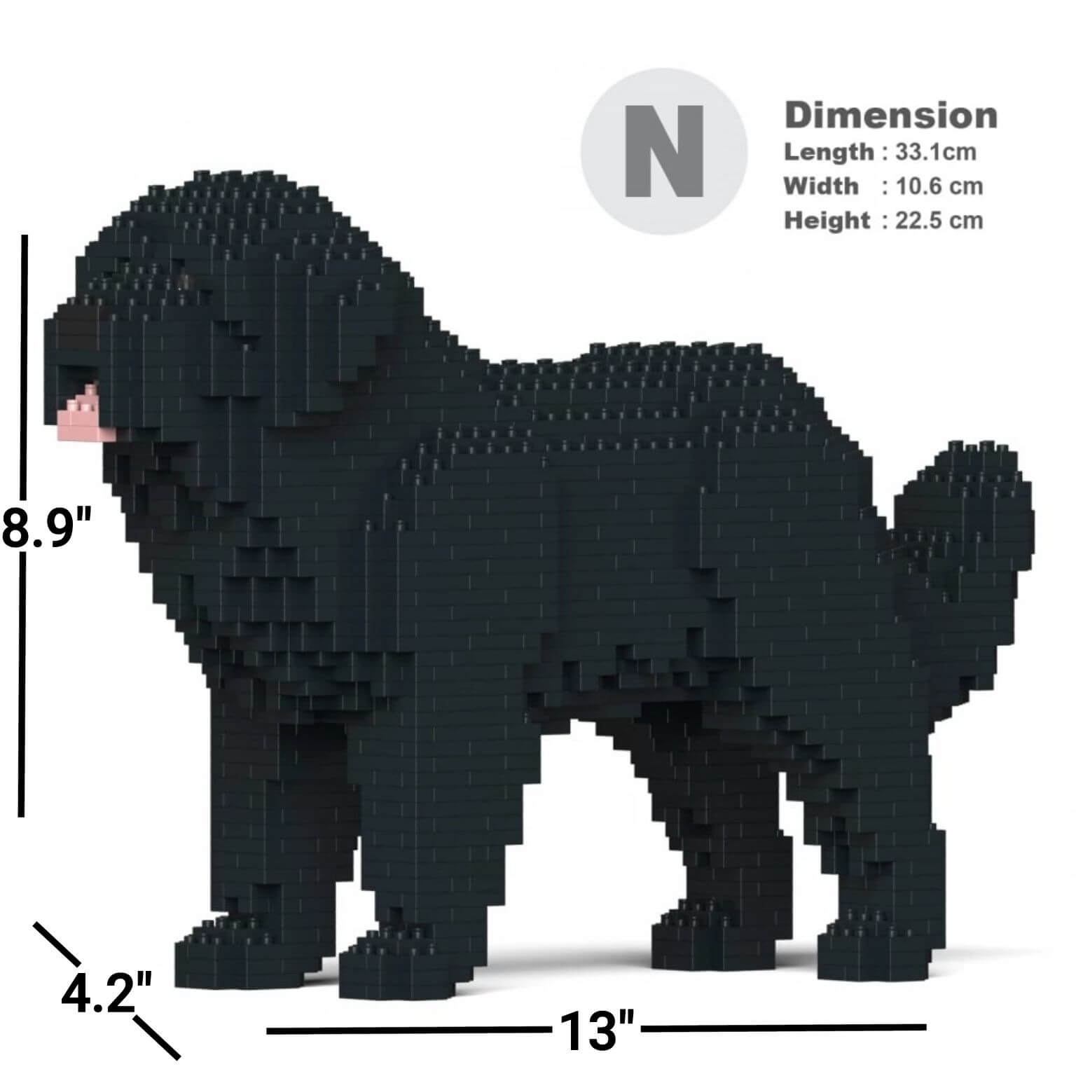 Newfoundland hond