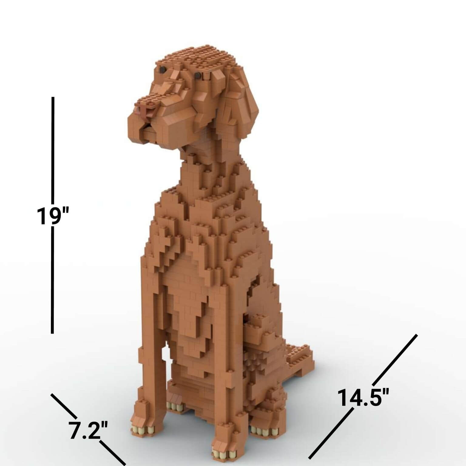 Vizsla