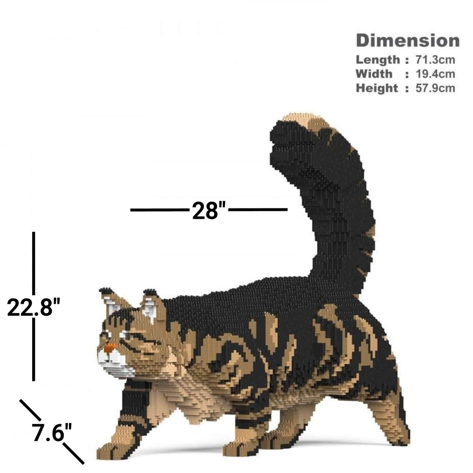 Main Coon