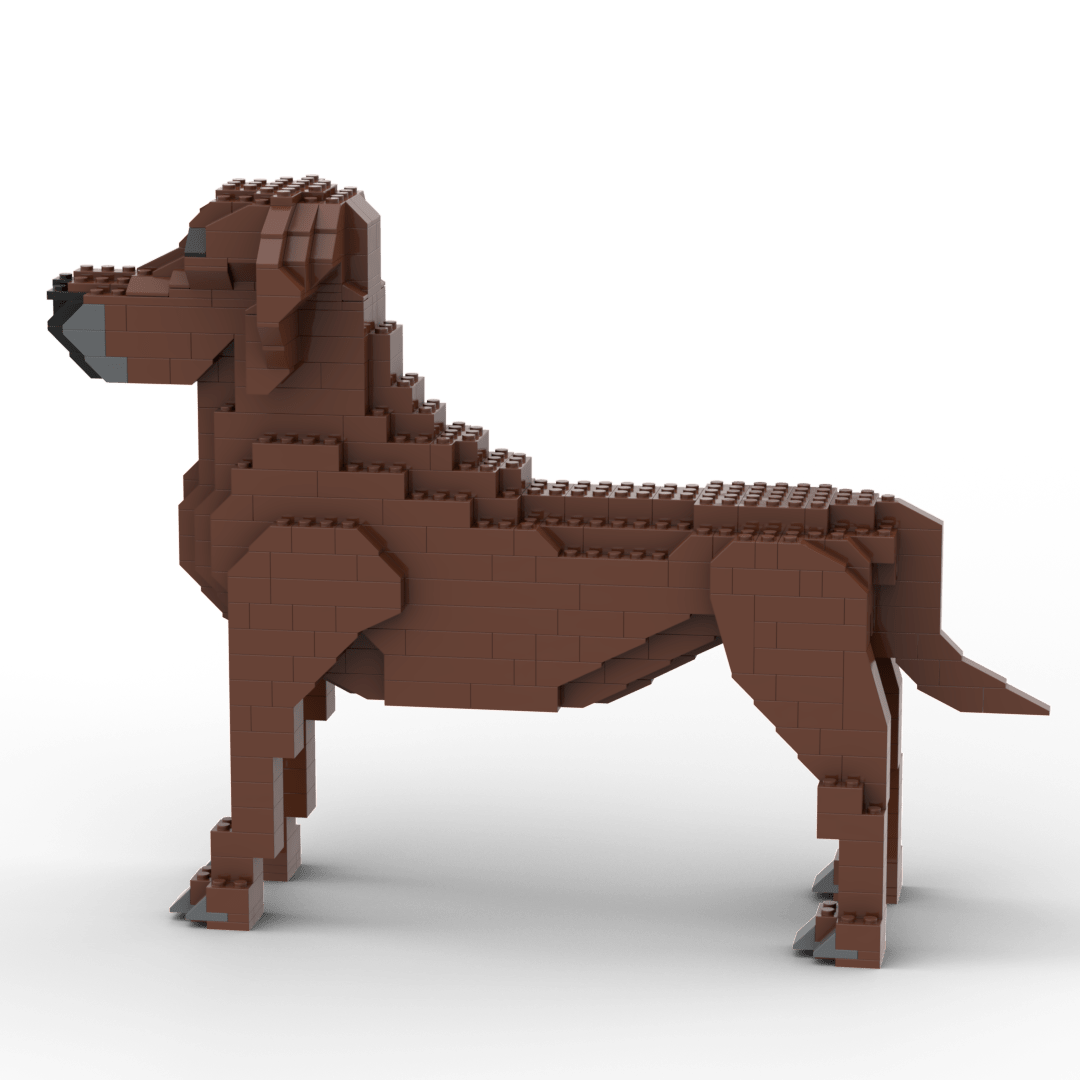 Rhodesische Ridgeback