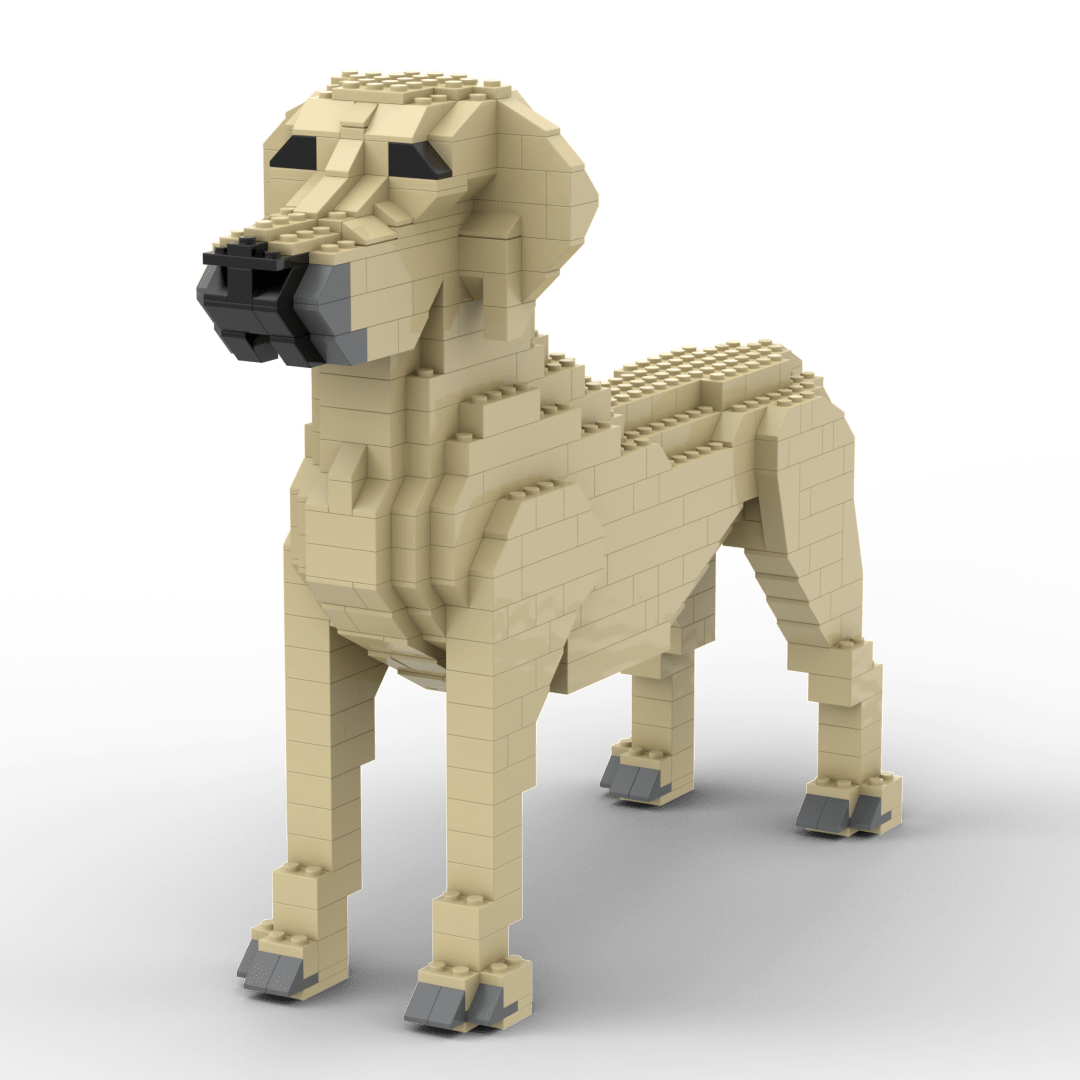 Rhodesische Ridgeback