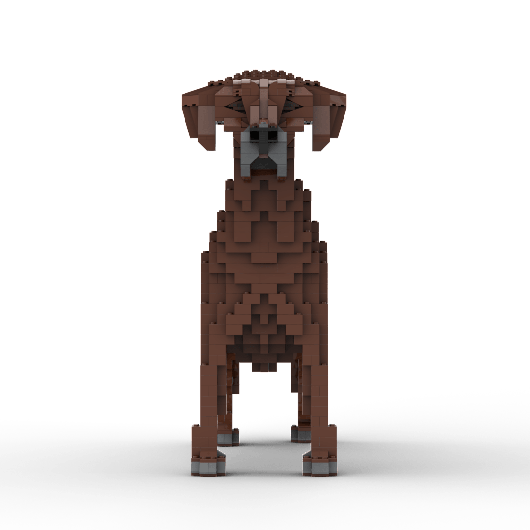 Rhodesische Ridgeback