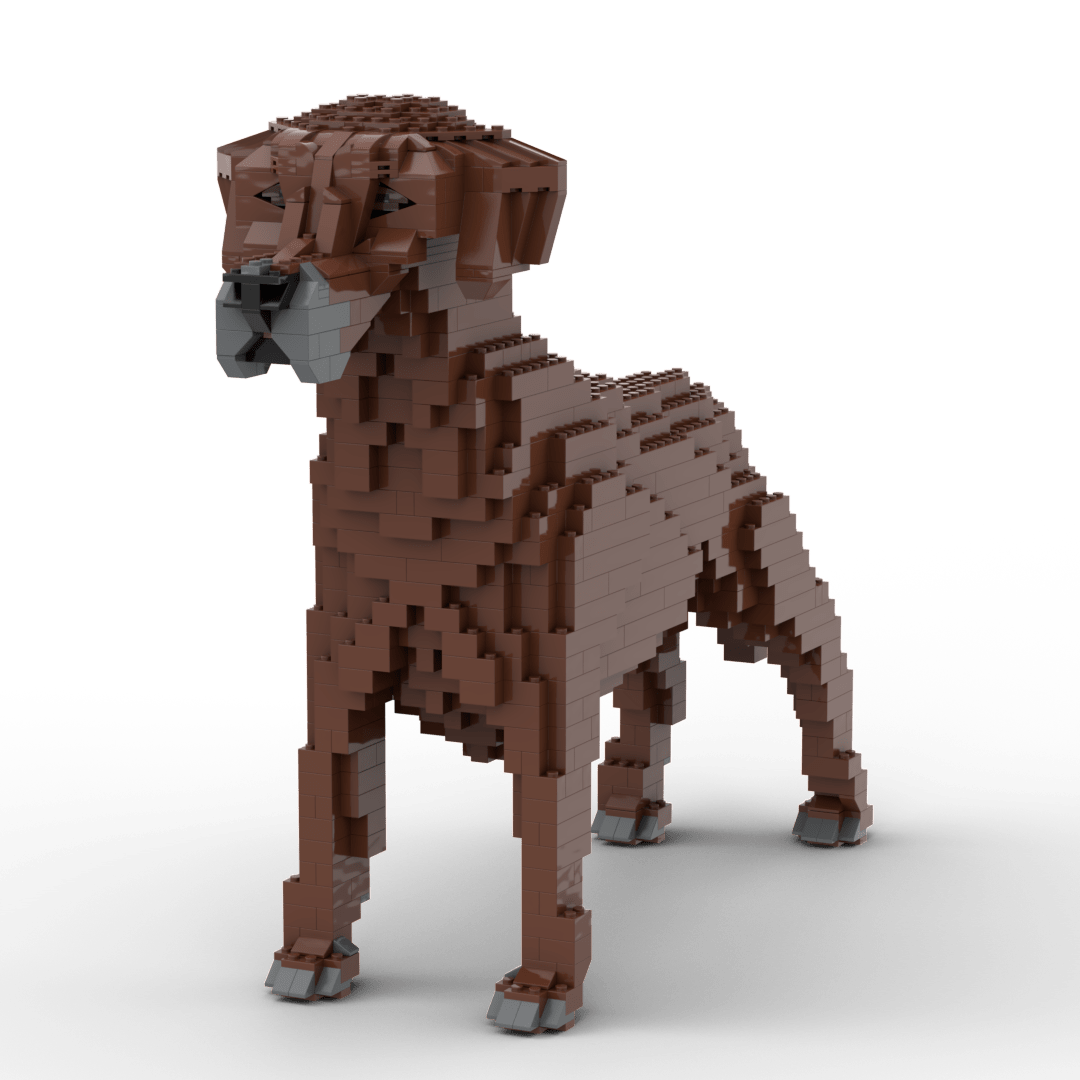 Rhodesische Ridgeback