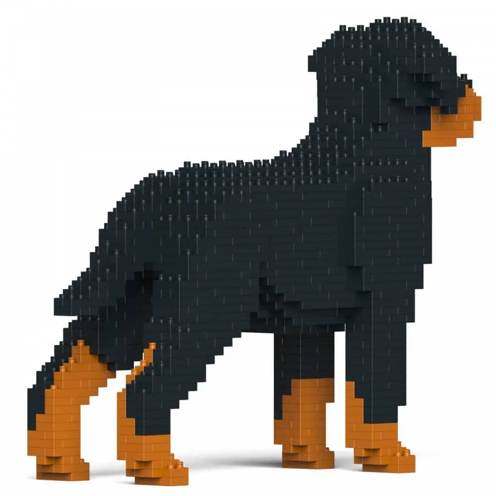 Rottweiler