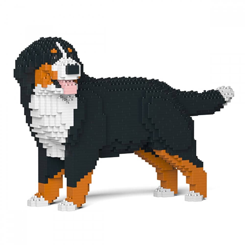 Berner Sennenhond