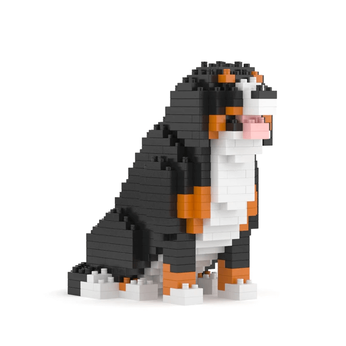 Berner Sennenhond Mini