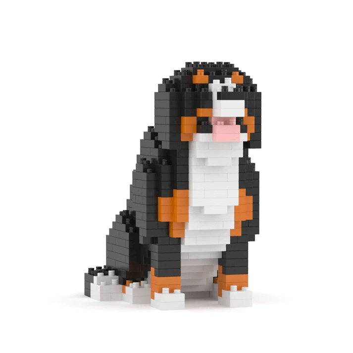 Berner Sennenhond Mini