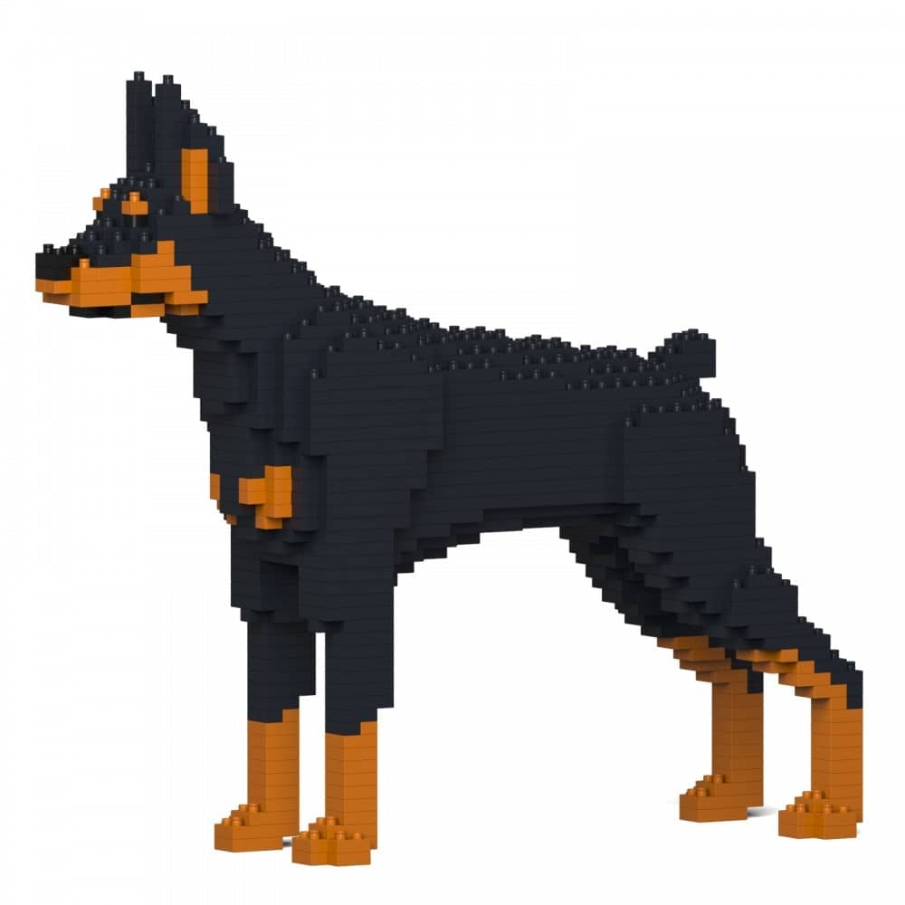 Doberman Pinscher