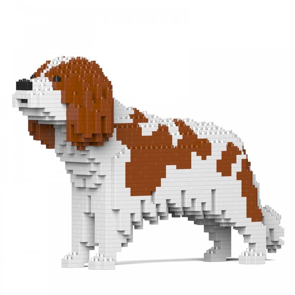 Cavalier King Charles-spaniël