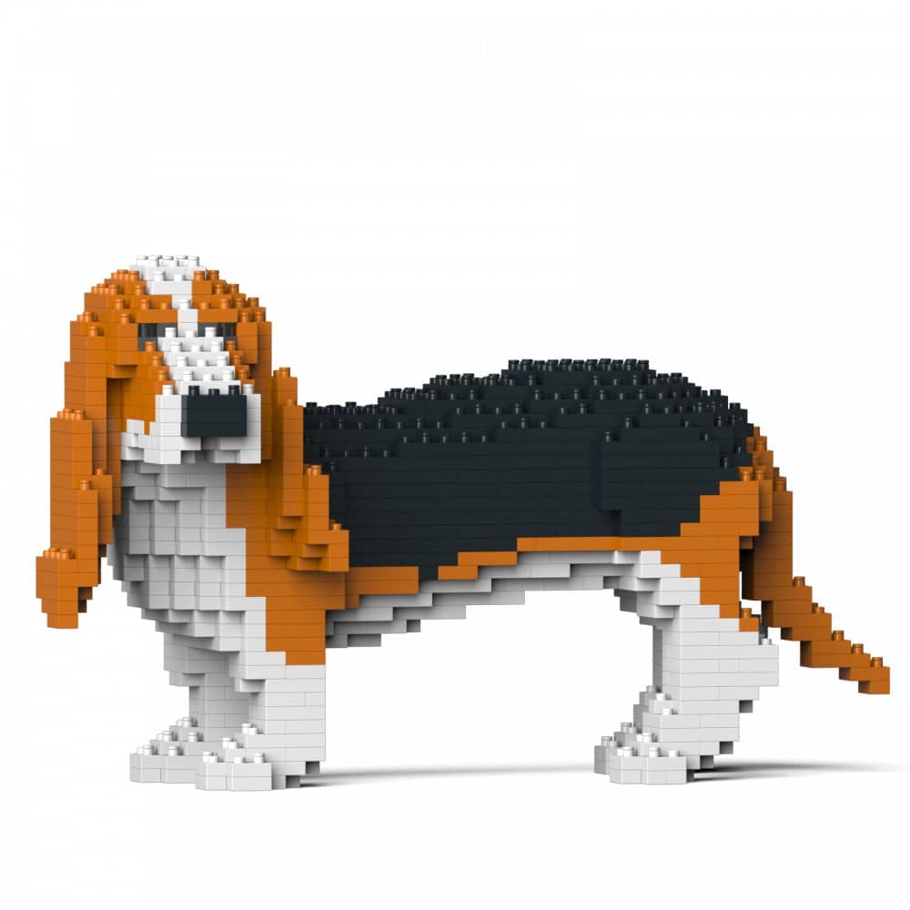 Basset hond