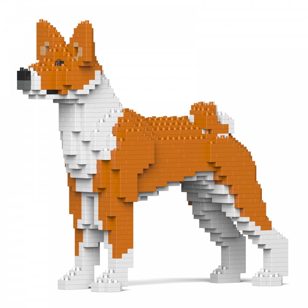 Basenji