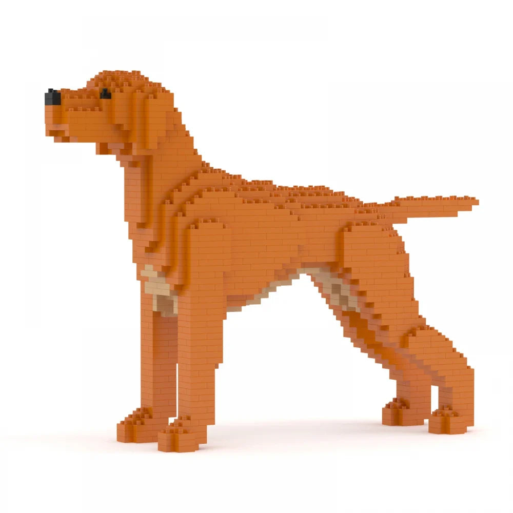 Vizsla