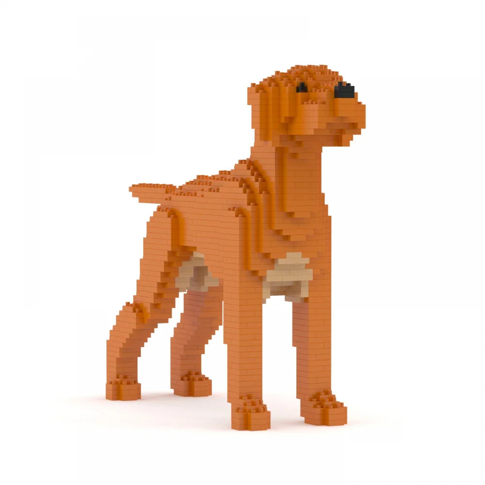 Vizsla