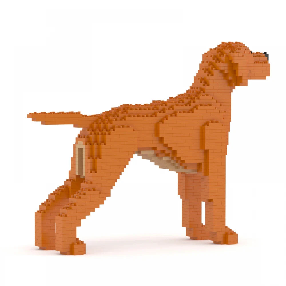 Vizsla