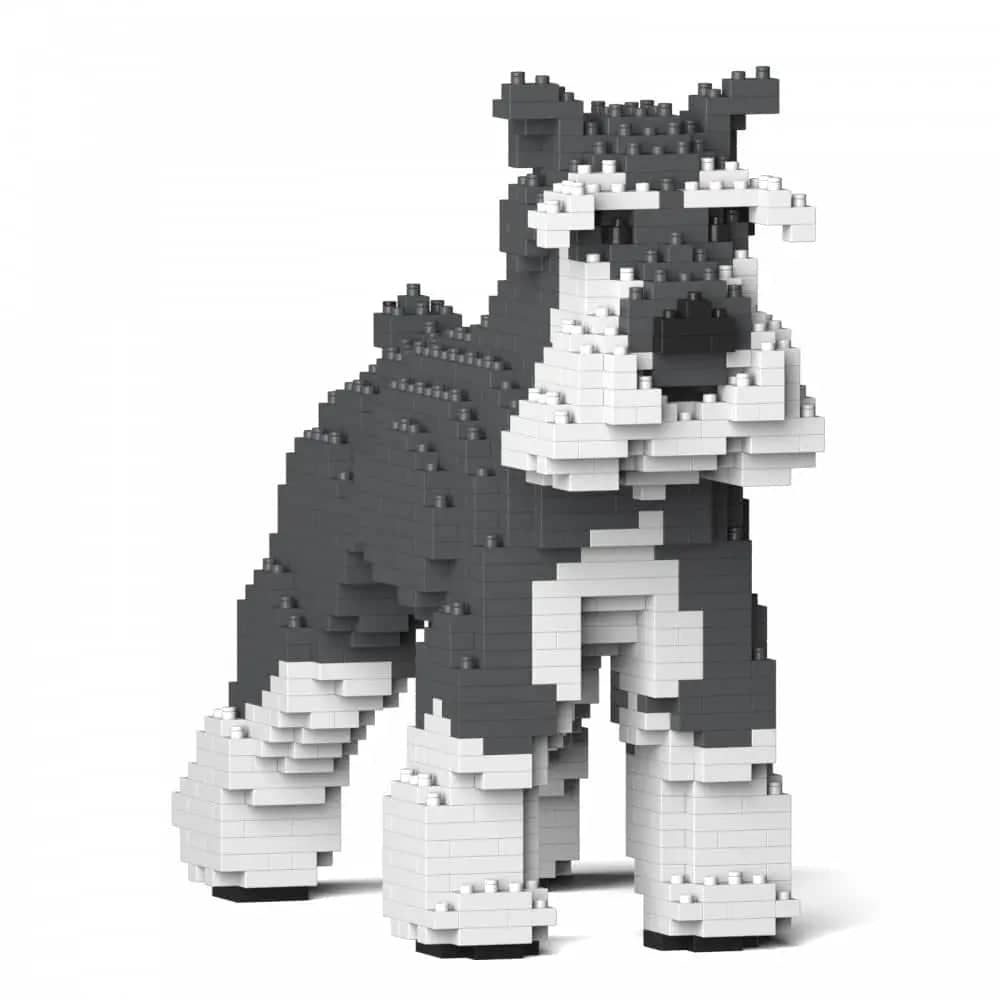 Schnauzer