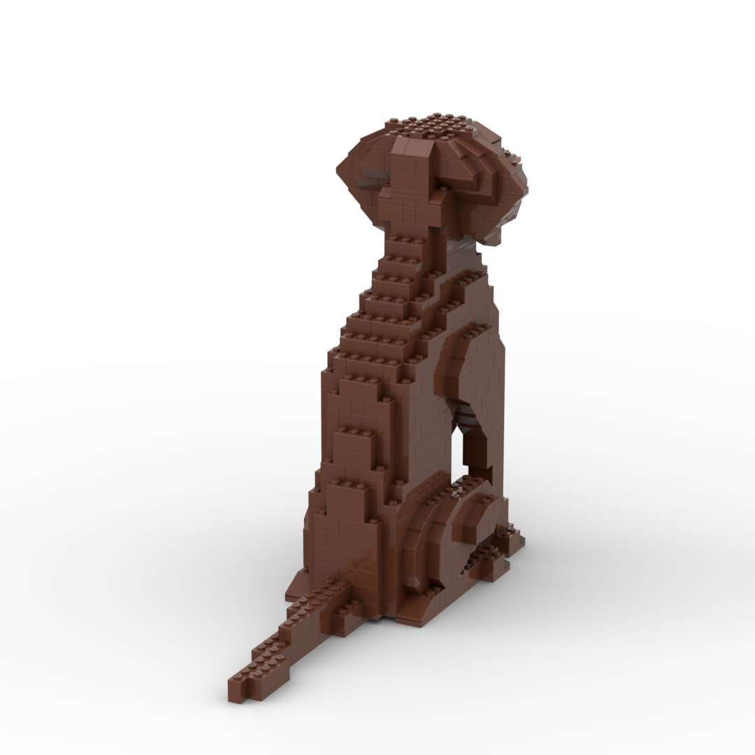 Vizsla