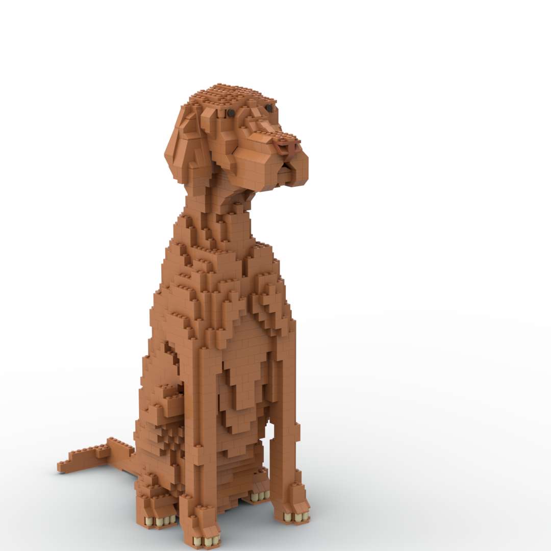 Vizsla