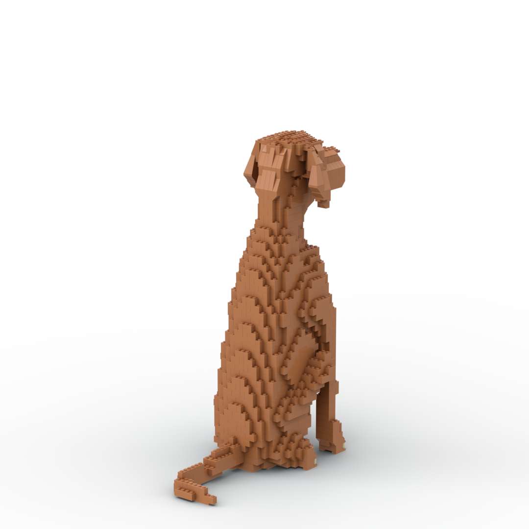 Vizsla