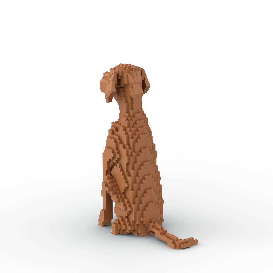 Vizsla