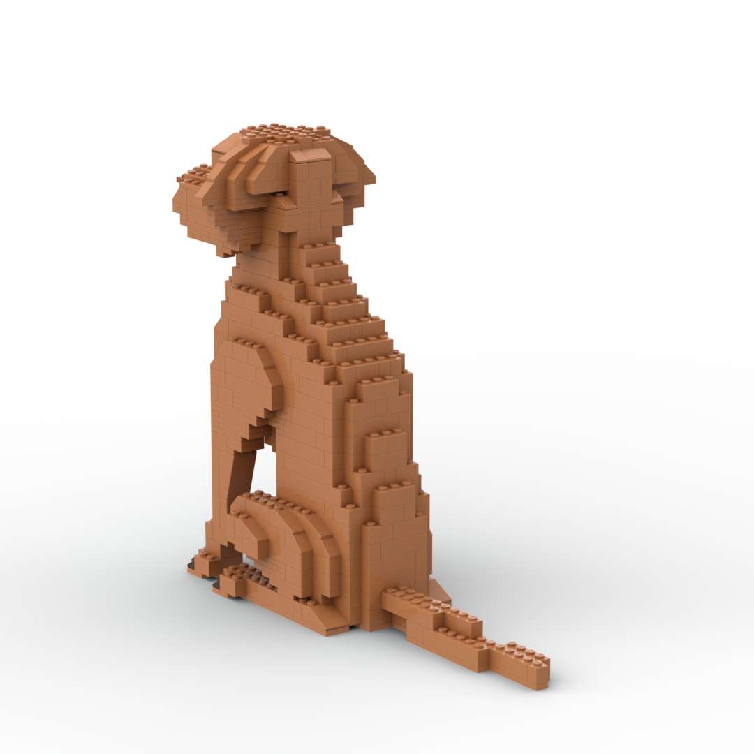 Vizsla