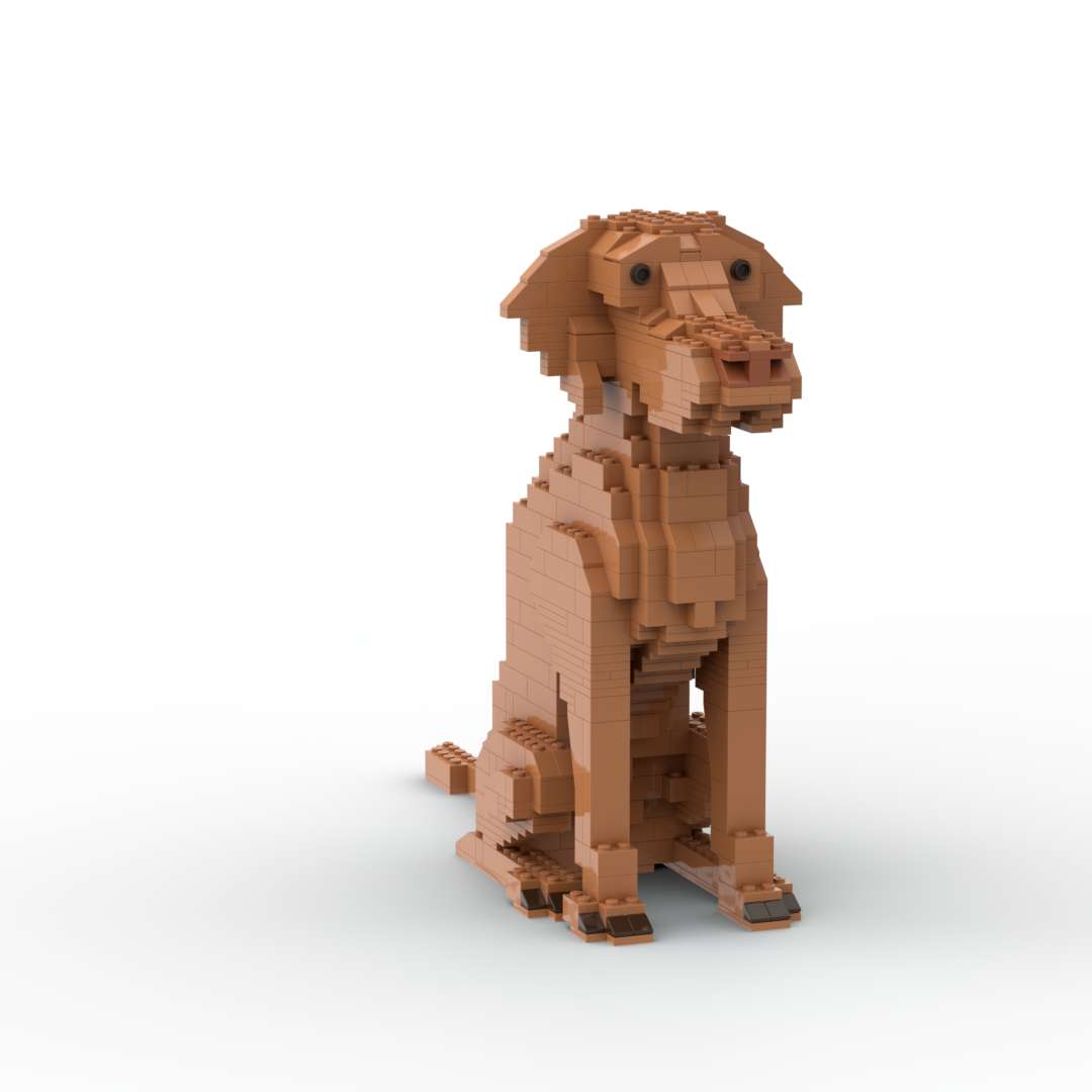 Vizsla