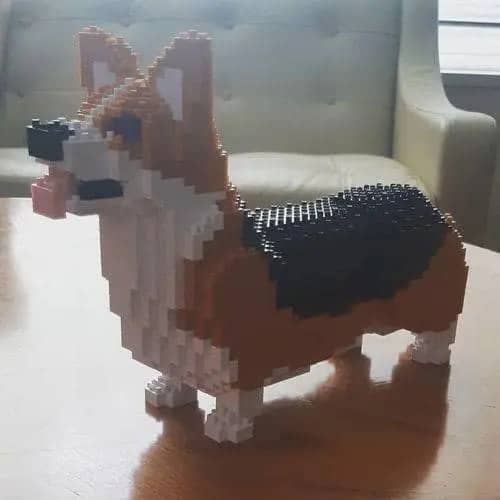 Welse Corgi