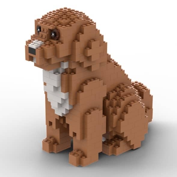 Cavapoo