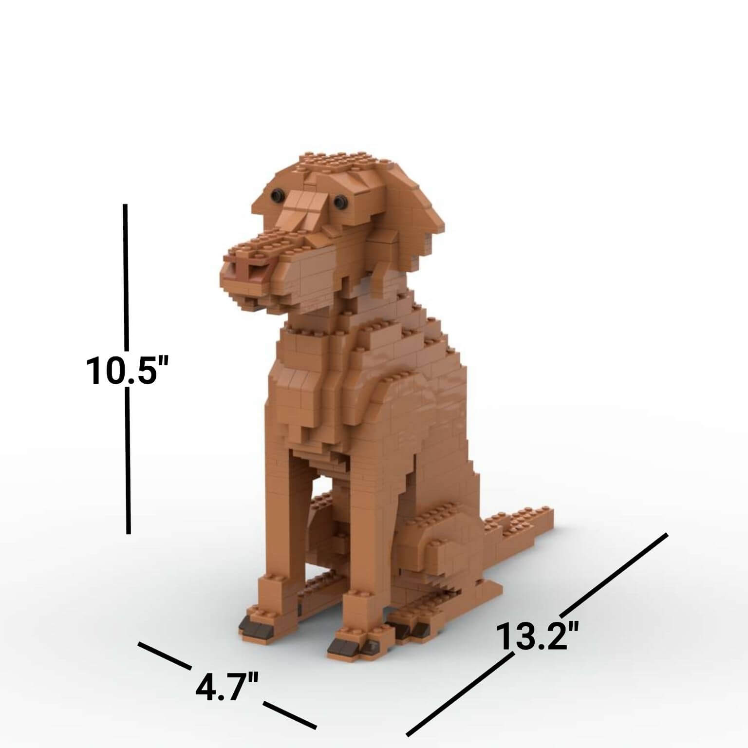 Vizsla