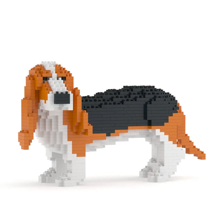 Basset hond