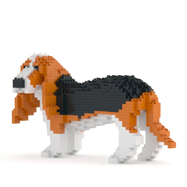 Basset hond