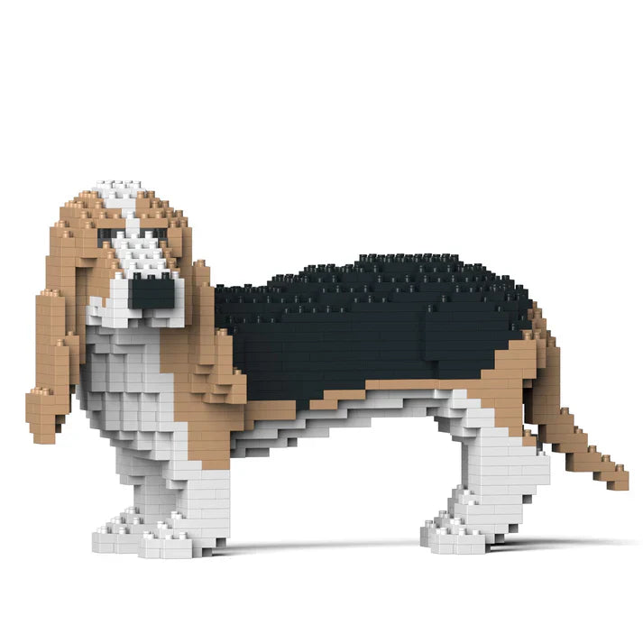 Basset hond